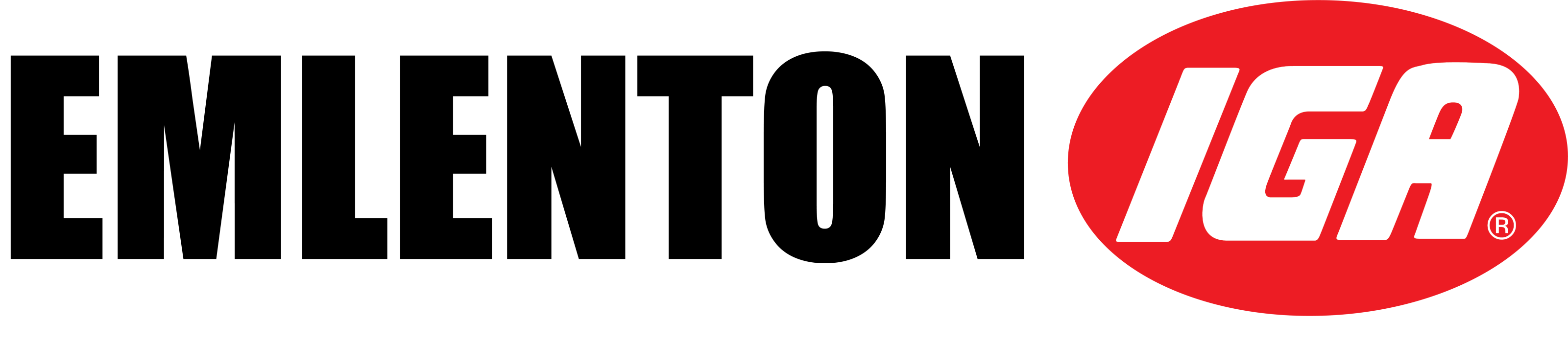 A theme logo of Emlenton IGA