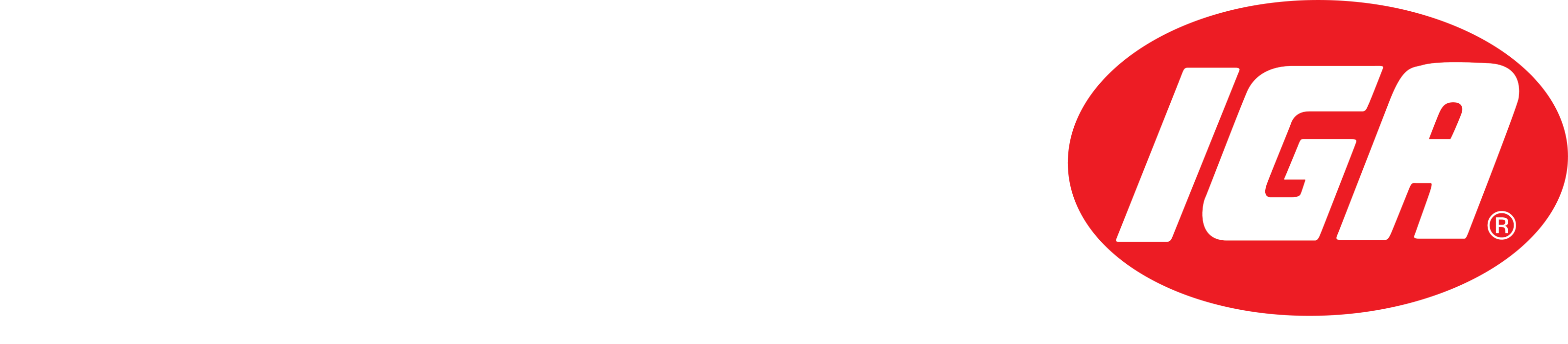 A theme logo of Emlenton IGA